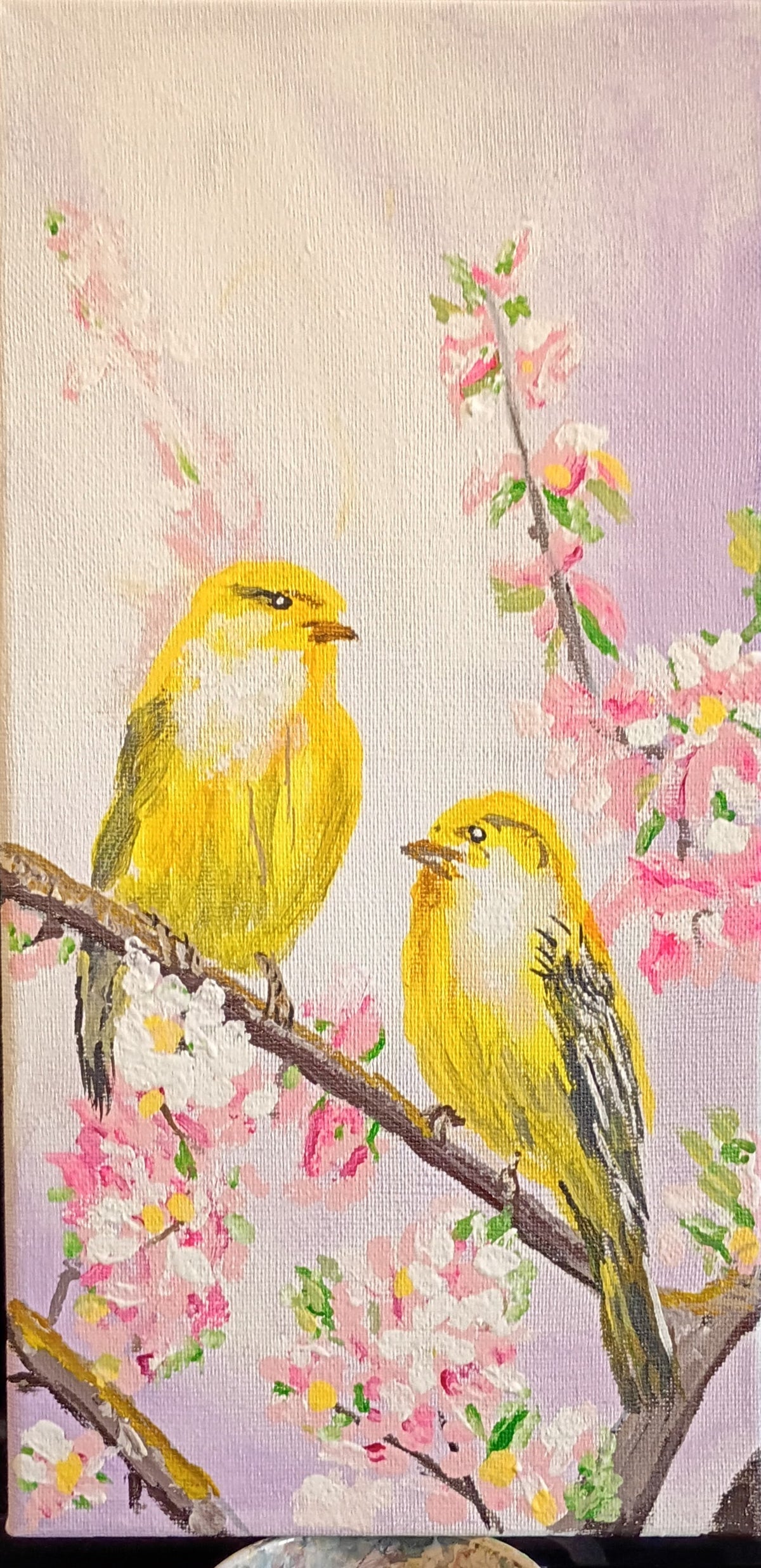 Yellow Finches