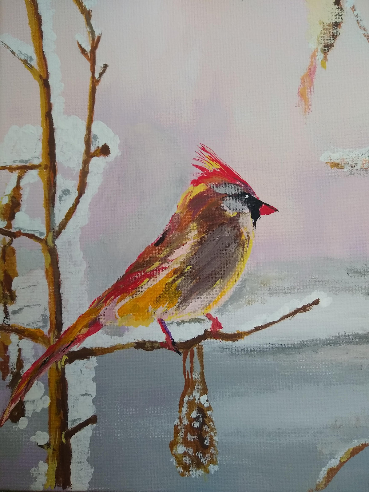 Cardnal in the Snow