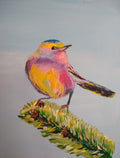Yellow Finch on a Limb